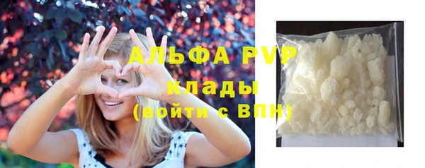 индика Алексин