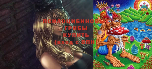 соль ск Сатка