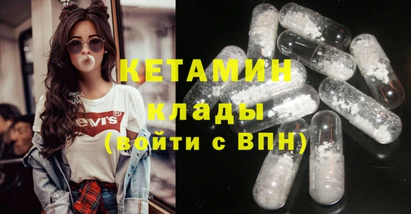 индика Алексин