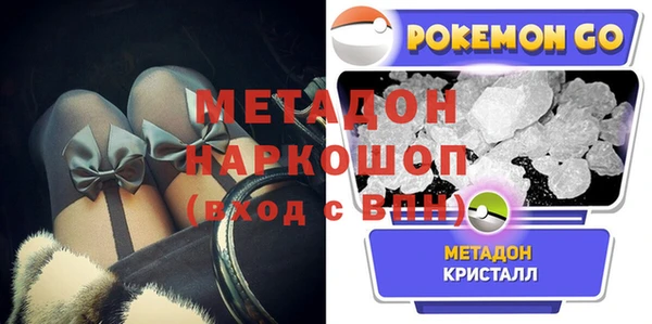 индика Алексин
