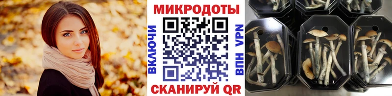 блэк спрут сайт  Нижнеудинск  Псилоцибиновые грибы MAGIC MUSHROOMS 