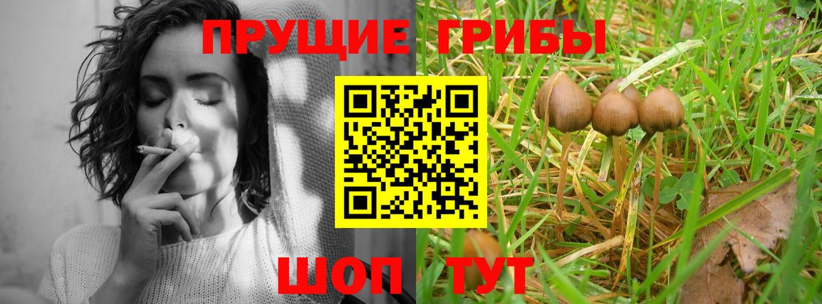 Галлюциногенные грибы GOLDEN TEACHER Нижнеудинск